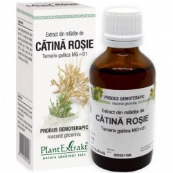 Extract Gemoterapeutic de Catina Rosie 50ml Plantextrakt