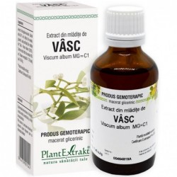 Extract Gemoterapeutic Vasc 50ml Plantextrakt