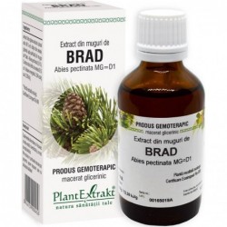 Extract Gemoterapic din Brad Muguri 50ml Plantextrakt
