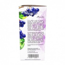 Suc de Aronia Bio 3l Aronia Charlottenburg