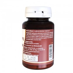 Q-Paducel 600mg si Magneziu 60tb Kotys