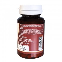 Q-Multivitamine si minerale Premium Complex 60tb Kotys