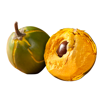 Lucuma