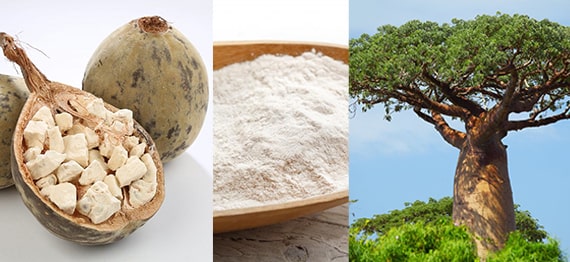 Pudra de Baobab - beneficii pentru sanatate ale acestei minuni tropicale
