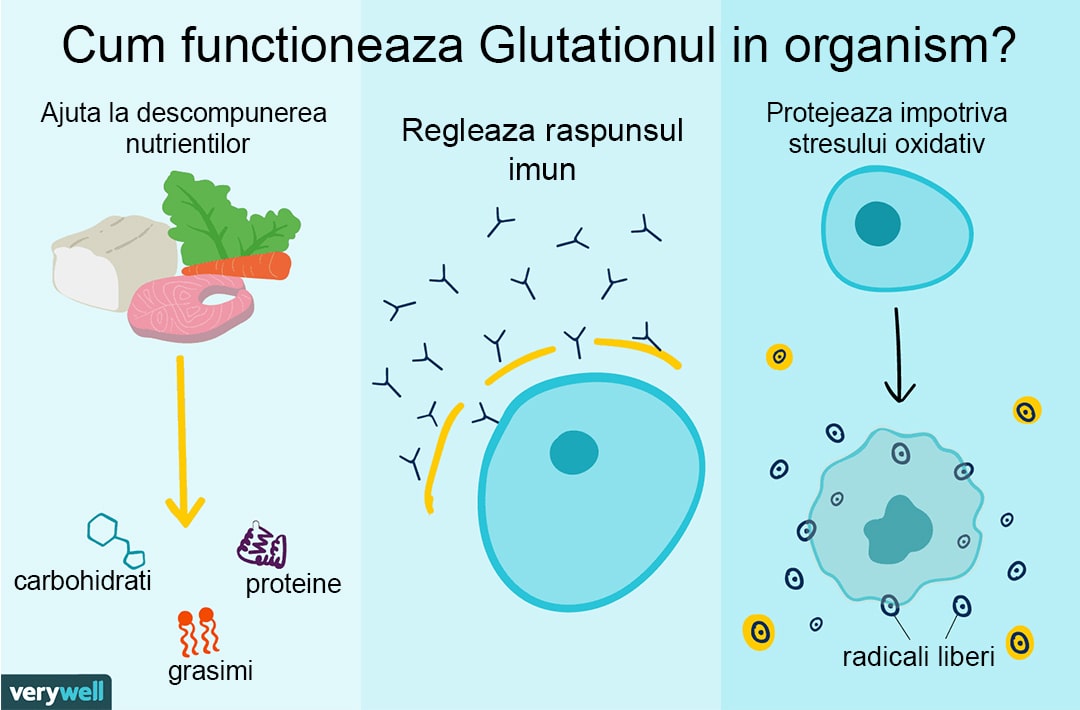 Functiile glutationului in organism