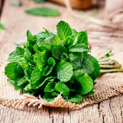 Menta pentru cresterea imunitatii scazute